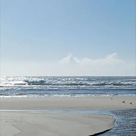Atico Maravilloso En , Vigo Homestay *